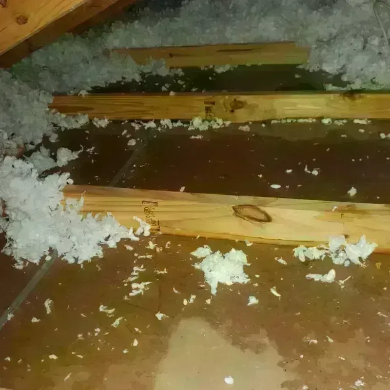 Attic Water Damage in Lafourche Parish, LA